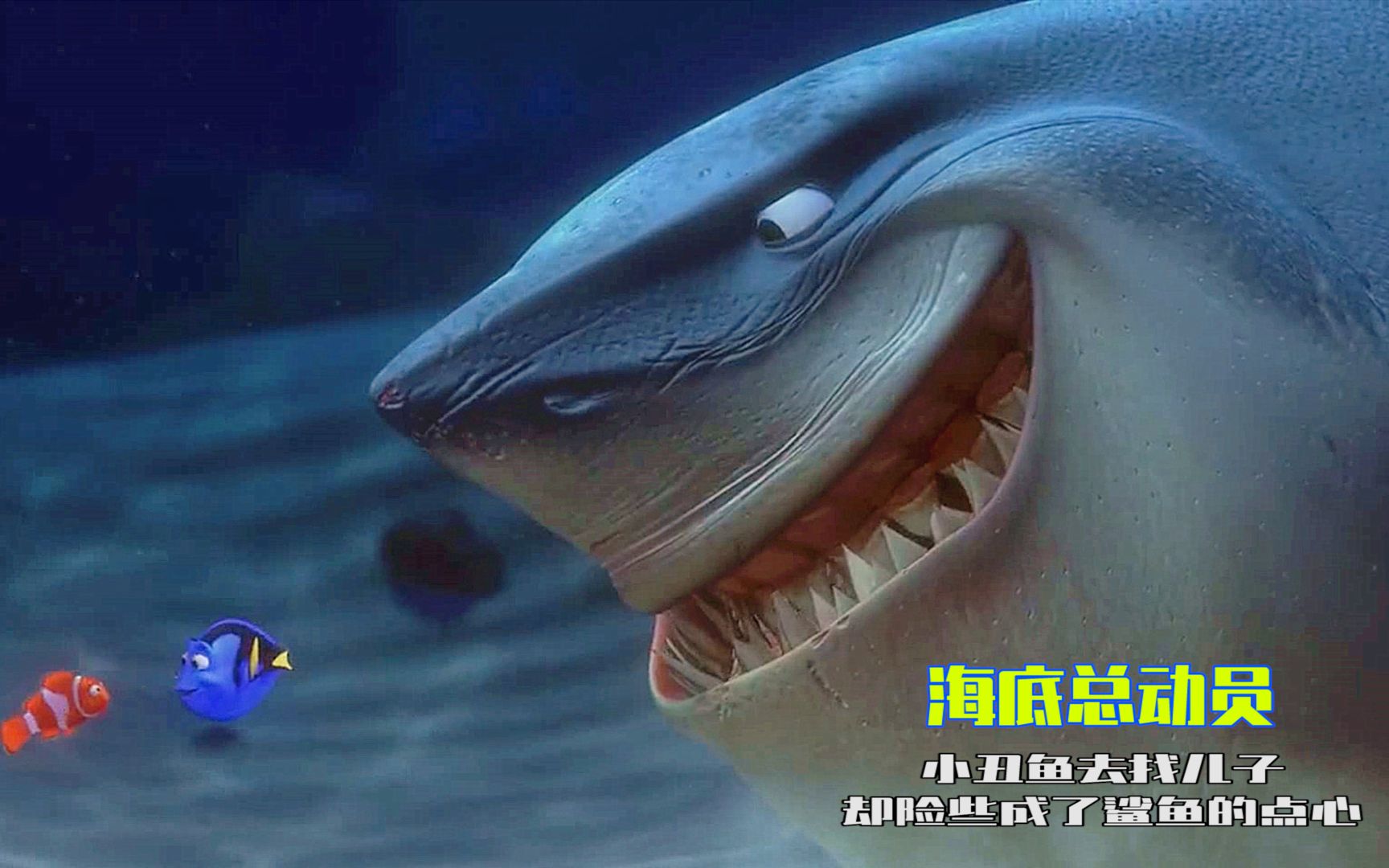 《海底总动员》小丑鱼去寻找儿子，却险些成了鲨鱼的点心
