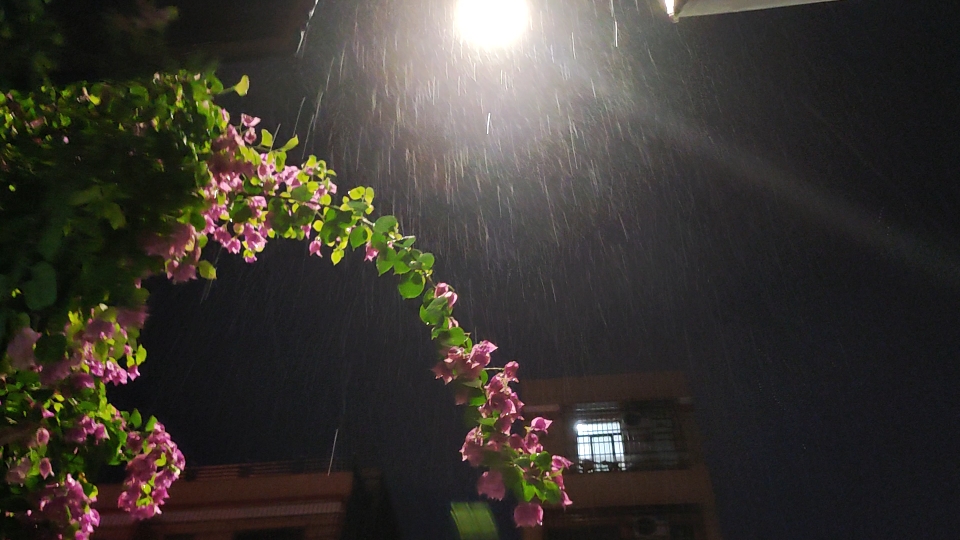 夜晚的雨