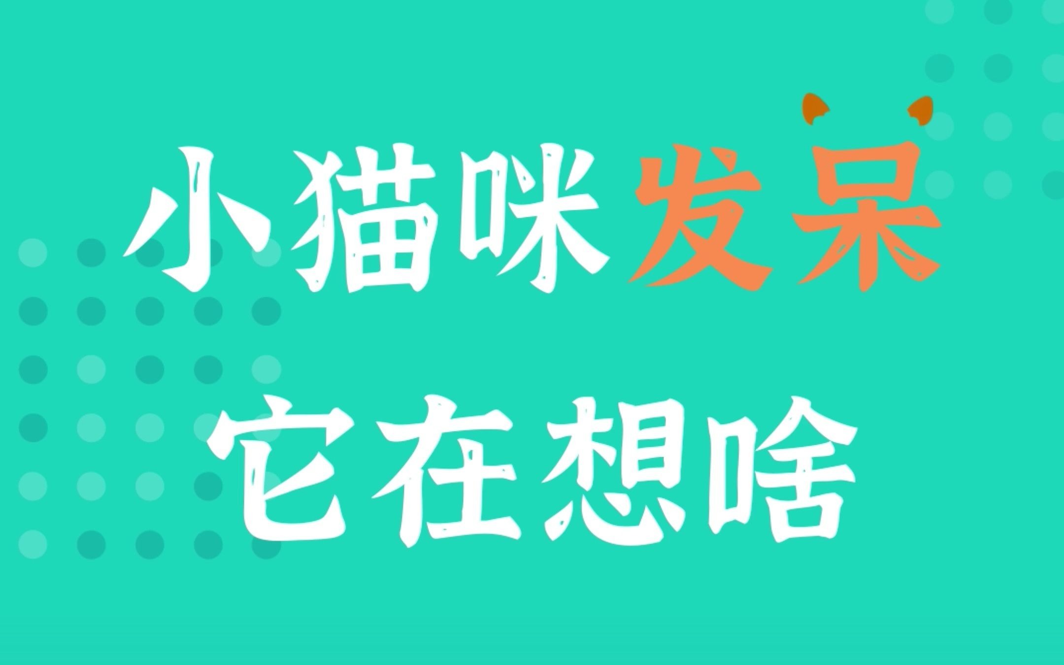 【瑞派宠医】猫的日常:呆呆呆…小猫咪发呆的时候都在想什么?思考猫生?哔哩哔哩bilibili