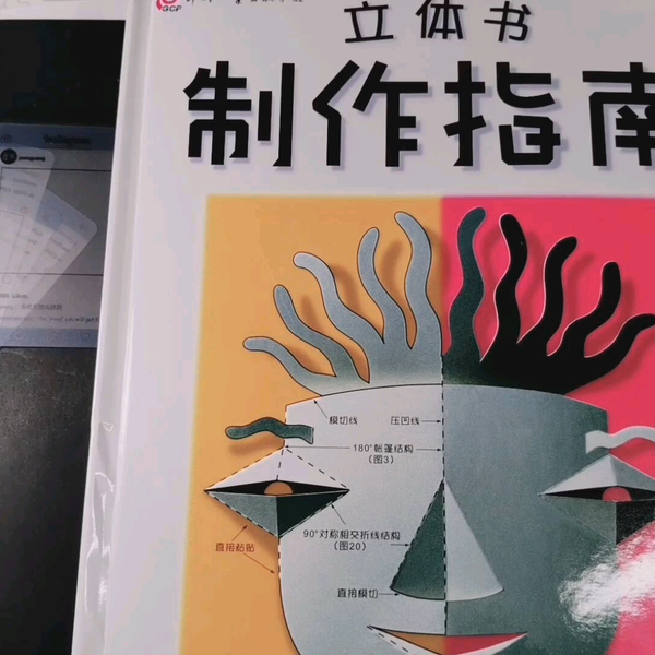 特別価格 立体书制作指南开箱】跟着指南做，心不慌_哔哩哔哩_bilibili 絵本