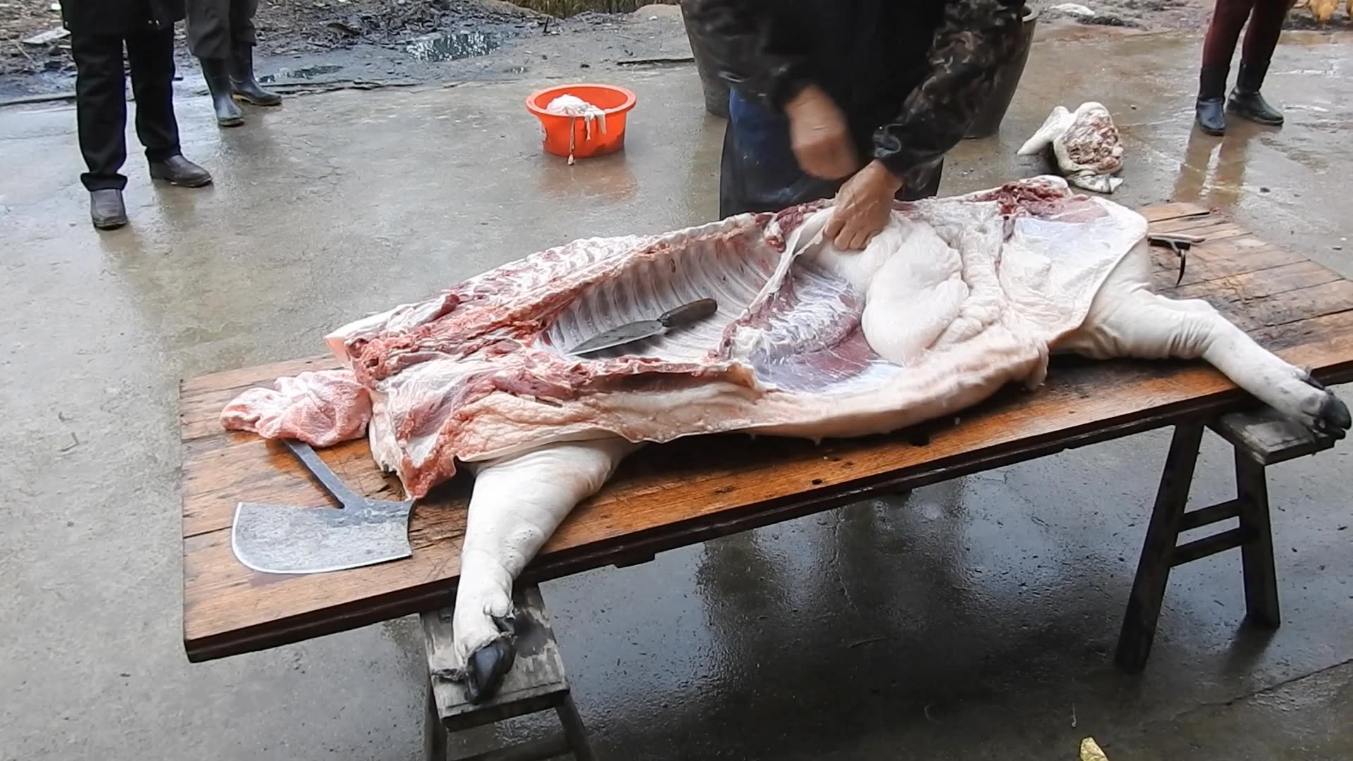 年味渐浓,出了将近300斤肉的农村土猪被村民一抢而空!