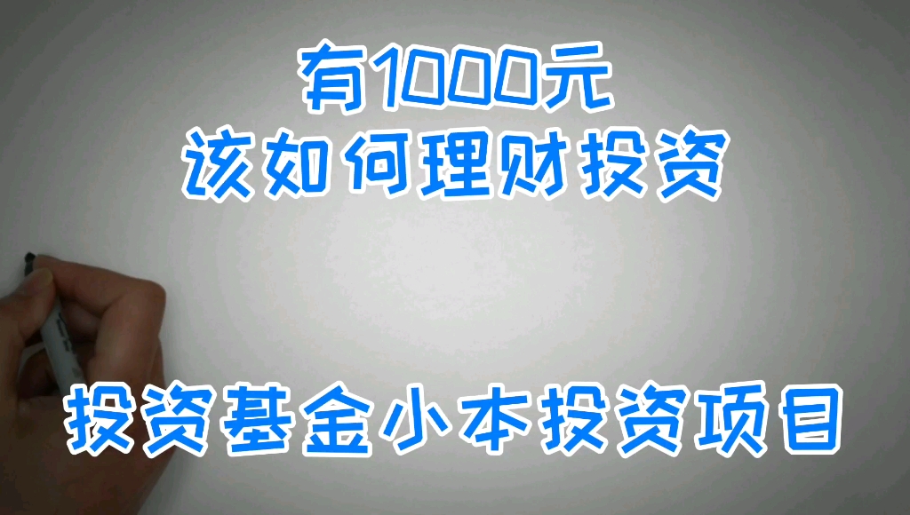 小白有1000元该如何投资理财?投资基金小本投资项目哔哩哔哩bilibili