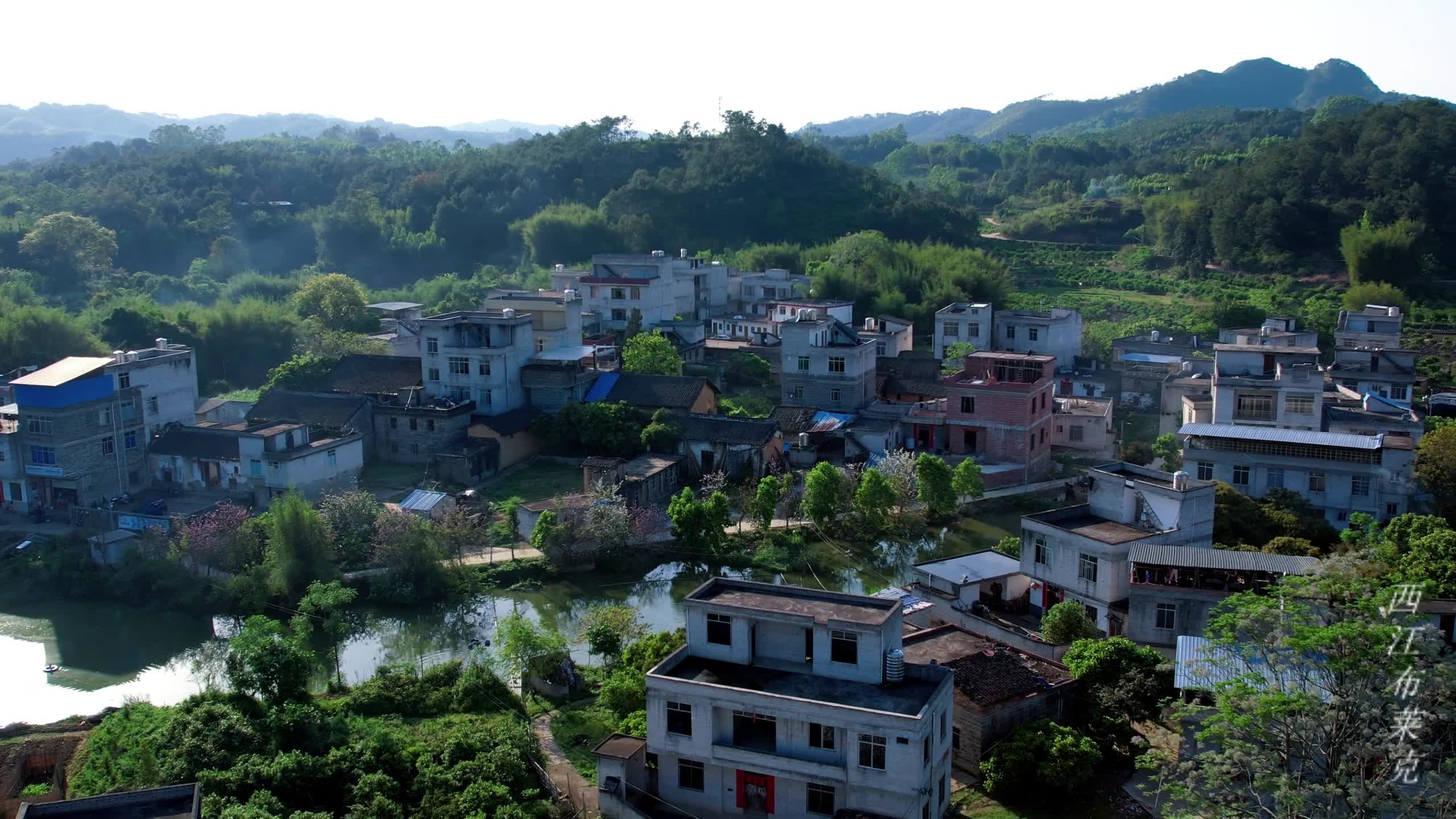 [图]生我养我的小山村（一镜到底）