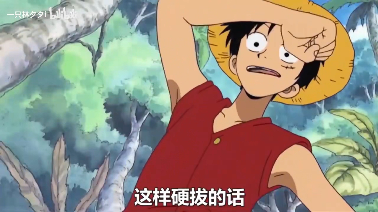 一口气看完《海贼王》东海篇完整全集 重温经典动漫
