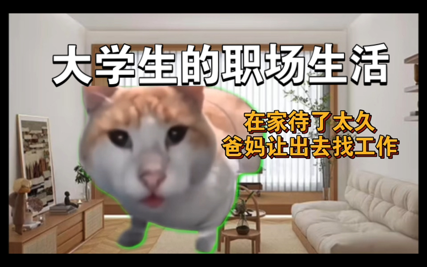 【猫meme】受够了法定节假日也要想理由请假的日子哔哩哔哩bilibili