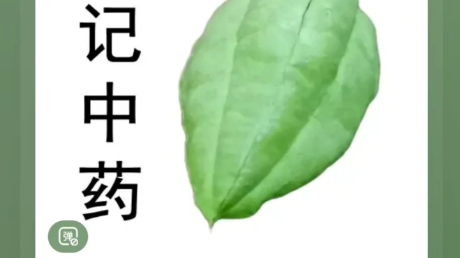 [图]《白话中药400味》第400味 儿茶