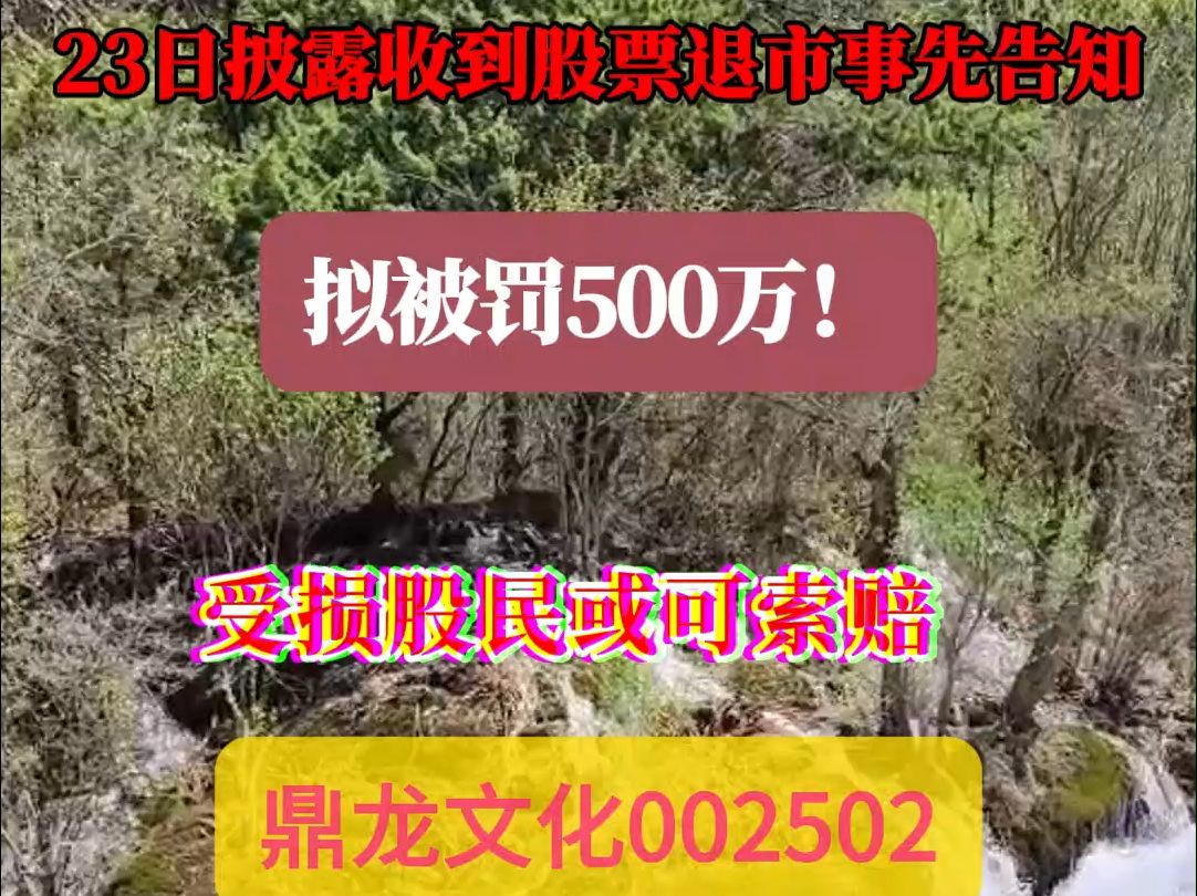 涉嫌虚假记载,鼎龙文化002502拟被罚五百万,受损股民或可索赔哔哩哔哩bilibili