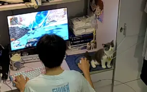 举报舍友打apex开鼠猫宏