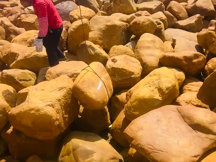 黄蜡石装车,大型黄蜡石批发,广东风景石多少钱一吨