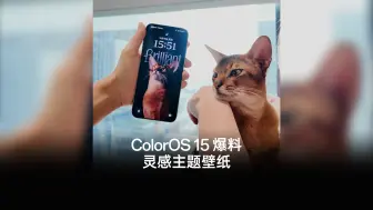 Download Video: OPPO ColorOS 15爆料丨关于灵感主题你不知道的事