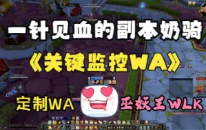 Download Video: 80级奶骑WA简约一针见血版