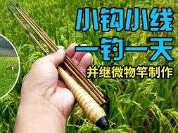 下载视频: 手工竹制微物并继竿，体验最纯粹的钓鱼乐趣！