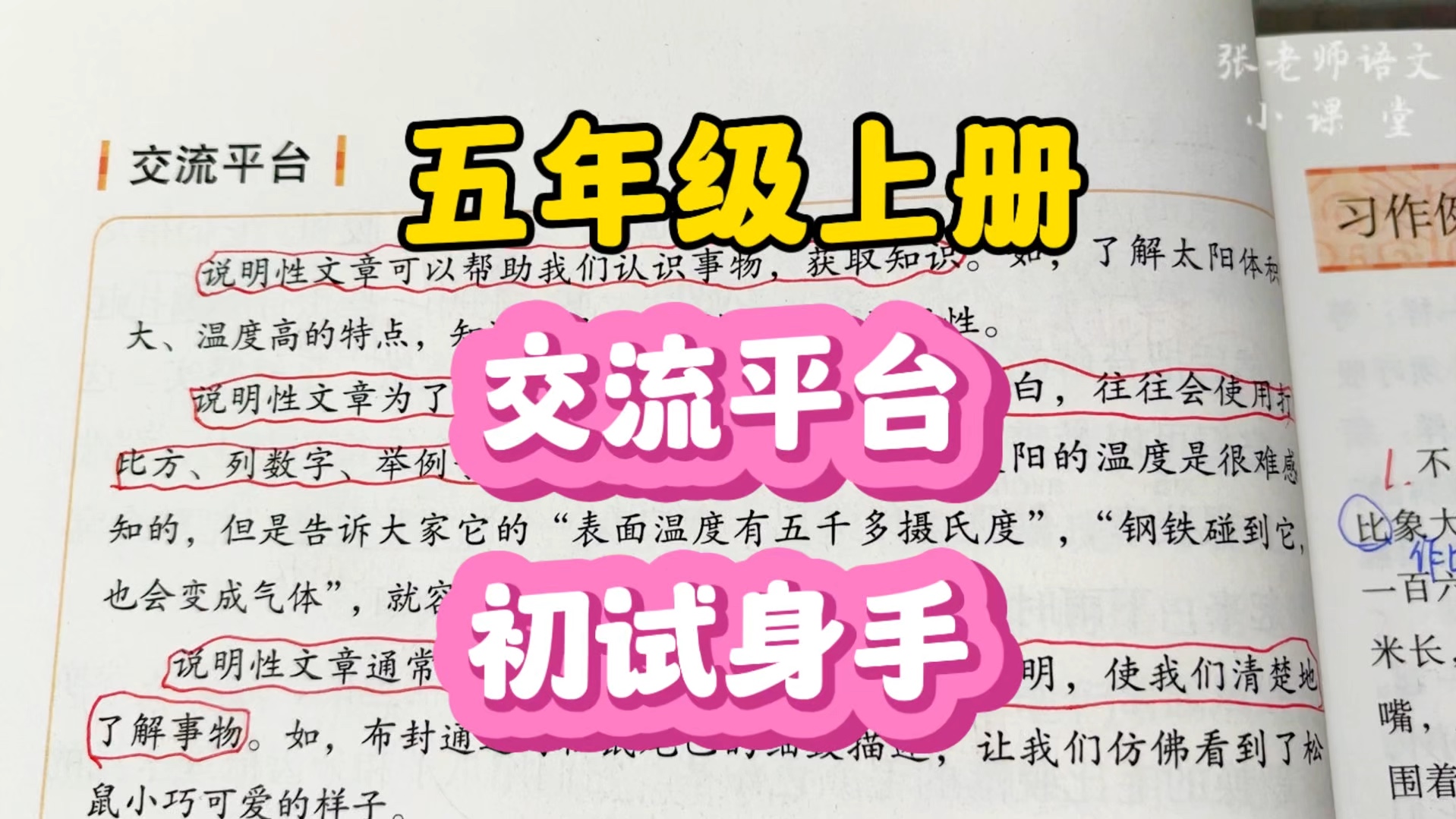 五年级上册:习作单元的交流平台和初试身手该怎样学?里面隐藏着哪些重要内容呢?哔哩哔哩bilibili