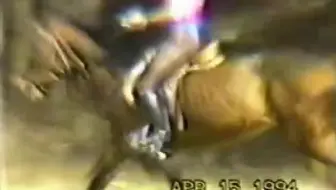 亚马逊丛林女王严厉驯骑烈马