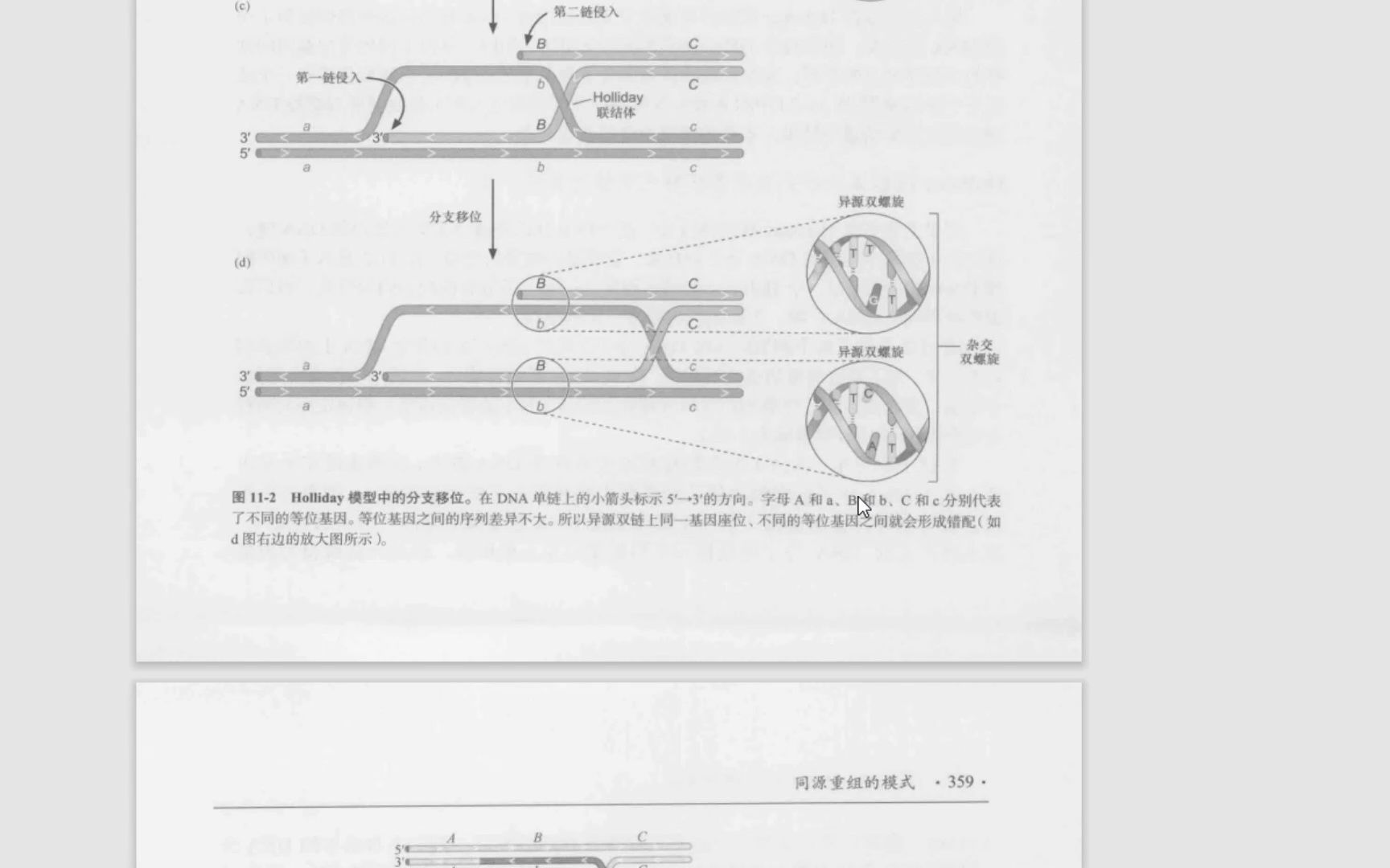 【生物问题解答】1 读书方法 同源重组哔哩哔哩bilibili