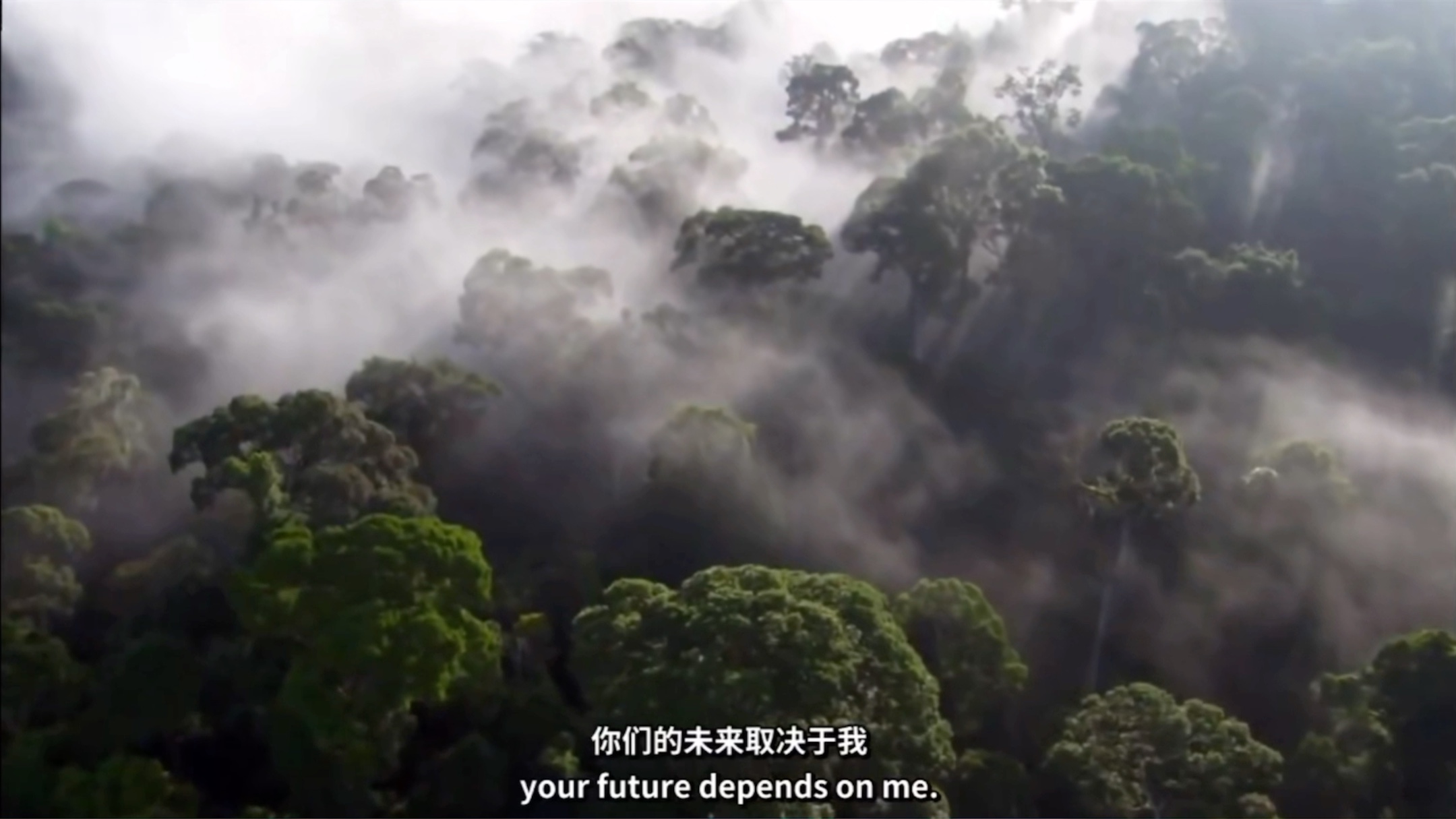 [图]配音Nature is speaking 《大自然在说话》的第一集两年前演讲的灵感来源于它#保护环境#environment protection#学英语