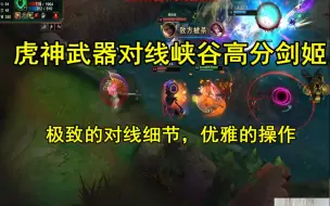 Download Video: 虎神武器对线峡谷高分剑姬，极致的对线细节，优雅的操作