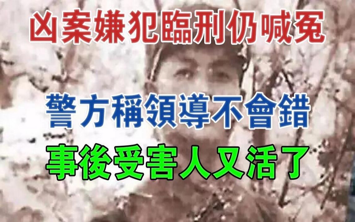 湖南凶案嫌犯临刑仍喊冤,警方称领导不会错,事后受害人又活了#大案纪实#刑事案件#案件解说哔哩哔哩bilibili