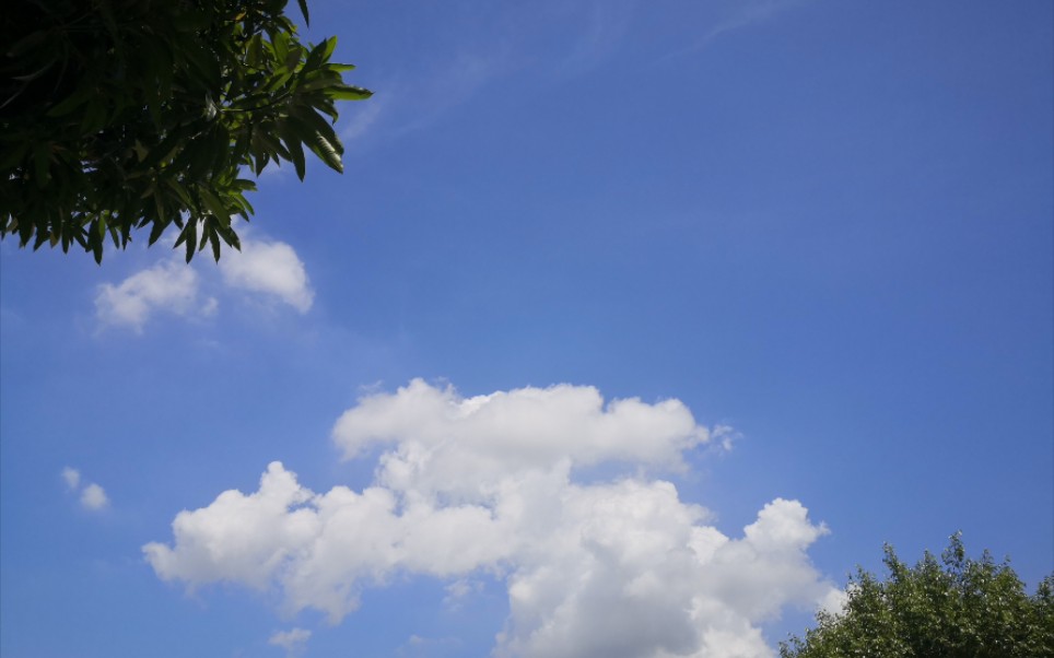 云淡风轻近午天,傍花随柳过前川.时人不识余心乐,将谓偷闲学少年.