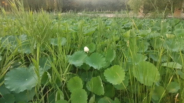 [图]我们总在错过，错过了不该错过的风景，选择了不该选的生活