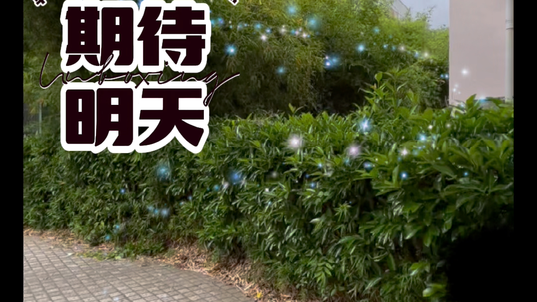 用老歌讲述自己的故事:期待明天