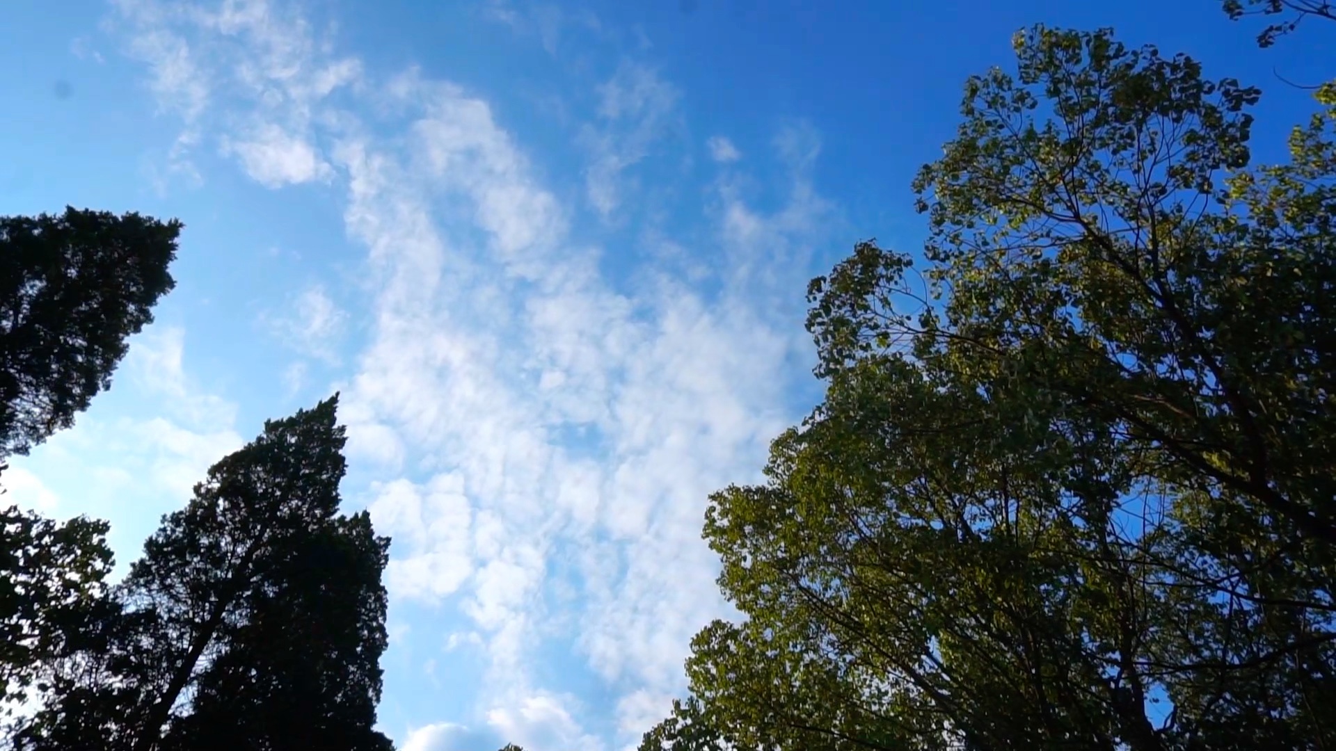 "风有风的自由 云有云的温柔" 唯美天空 云层云朵7915 治愈系风景