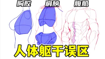 避雷！最致命的躯干误区，99萌新都会犯！【绘画学习|板绘教程|零基础|画法技巧入门】
