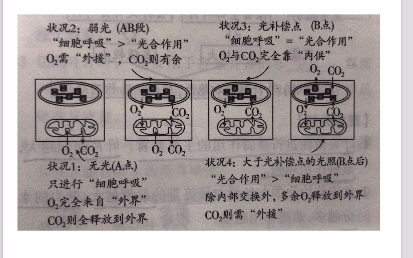 [图]光合作用和呼吸作用的关系讲解