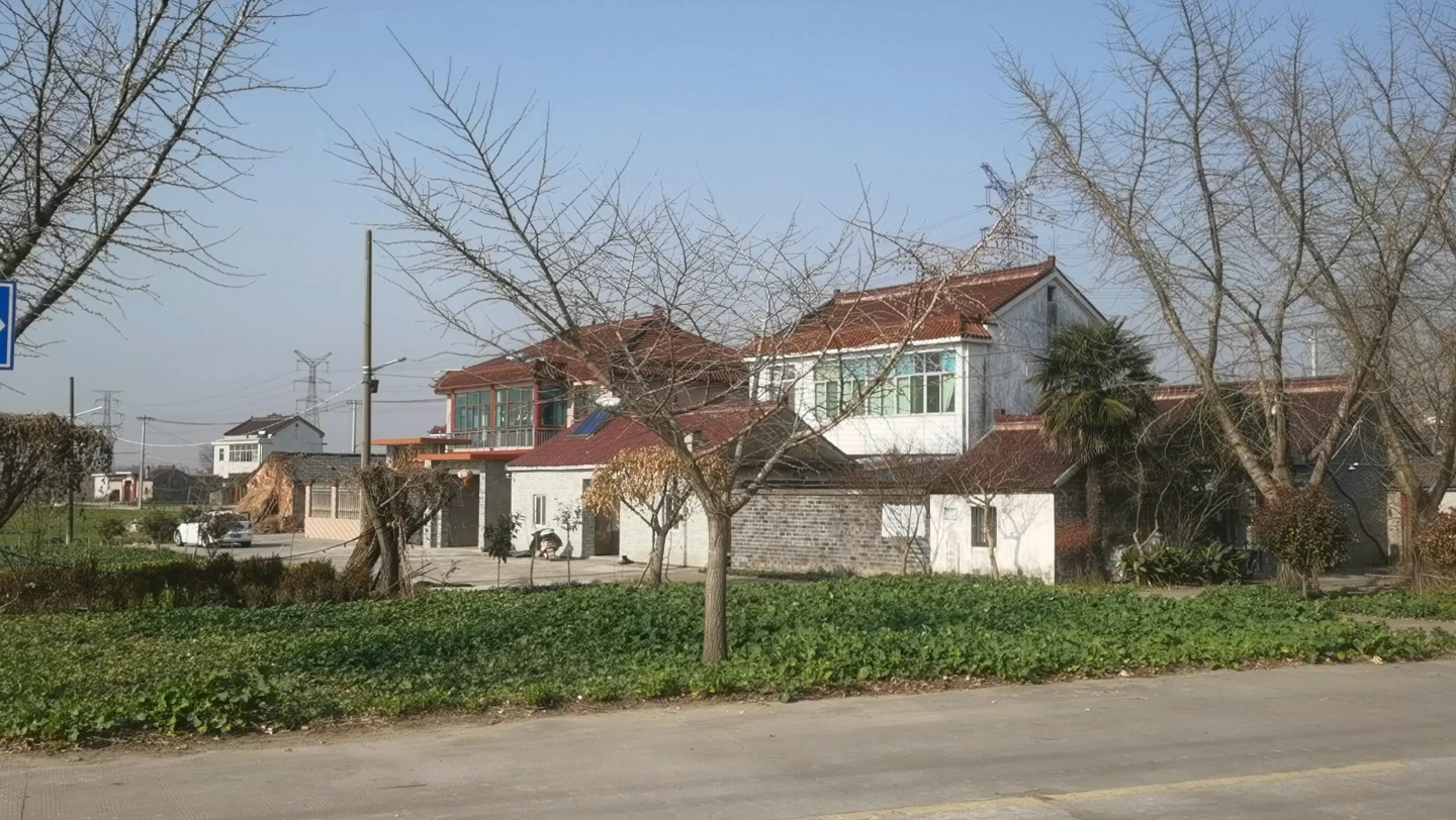 安徽农民逛江苏泰州农村,平原地区就是好,就是这么好的房子要拆迁.