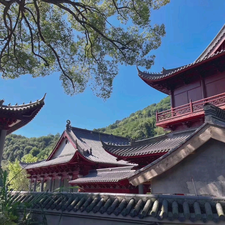 南阳玉山禅寺事件图片