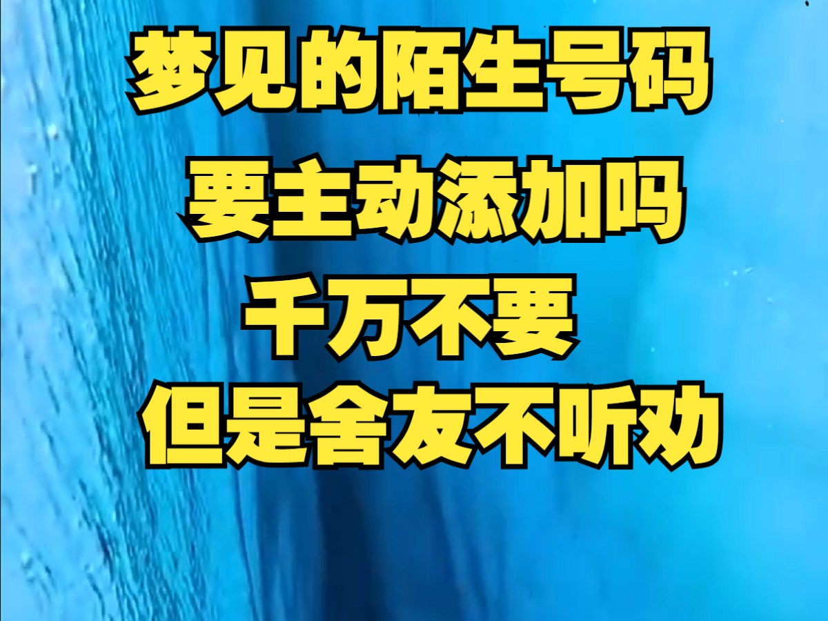 梦见的陌生号码,要主动添加吗,千万不要,因为你也猜不到对面是什么东西哔哩哔哩bilibili