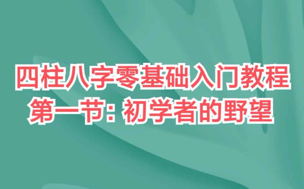 【准提子说易】四柱学零基础入门教程 第一节 初学者的野望哔哩哔哩bilibili