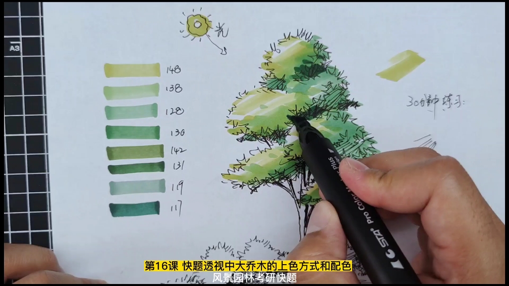 第16课 快题透视中大乔木的上色方式和配色哔哩哔哩bilibili