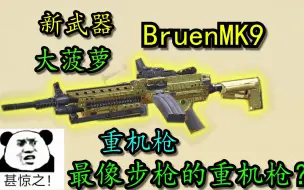 最像步枪的重机枪？新武器—BruenMK9系列！