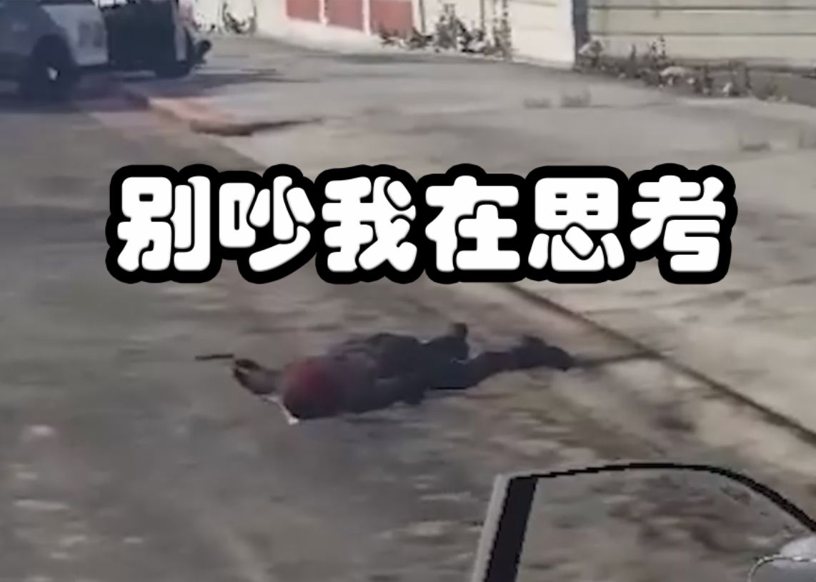 【gtaol】别吵别吵我在思考