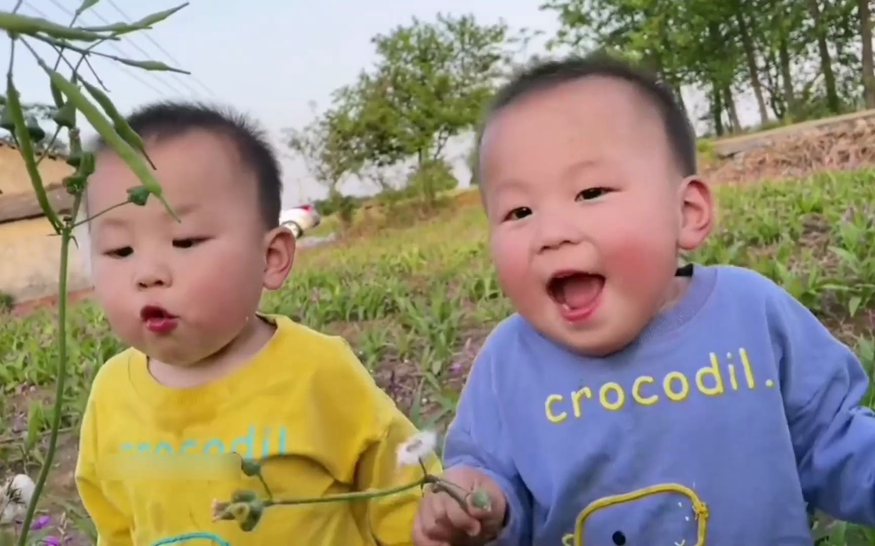 盘点全网那些可爱的人类幼崽,人类幼崽太可爱了,小棉袄有时也会漏风哔哩哔哩bilibili