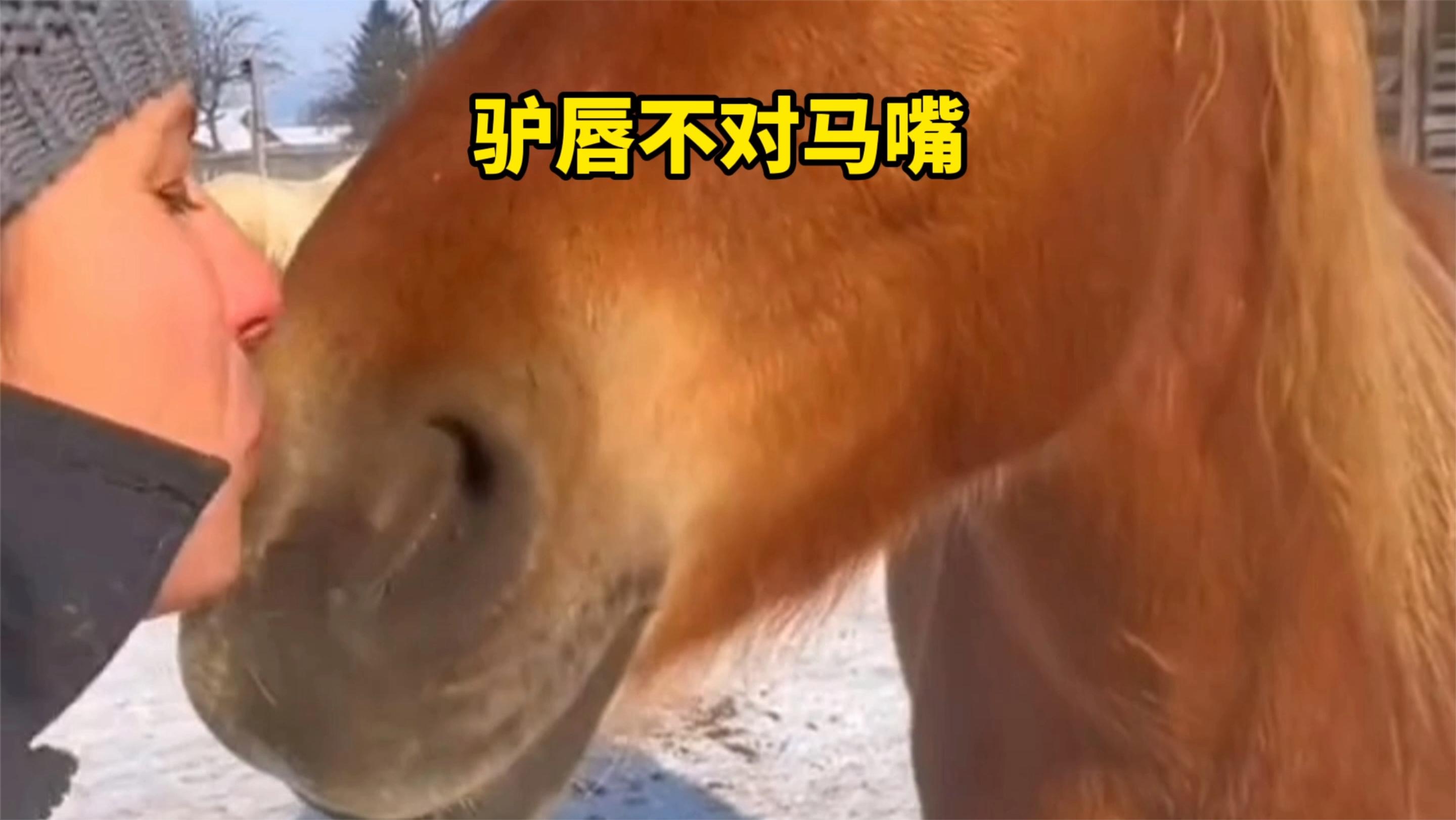 驴唇不对马嘴,大妹子真会玩