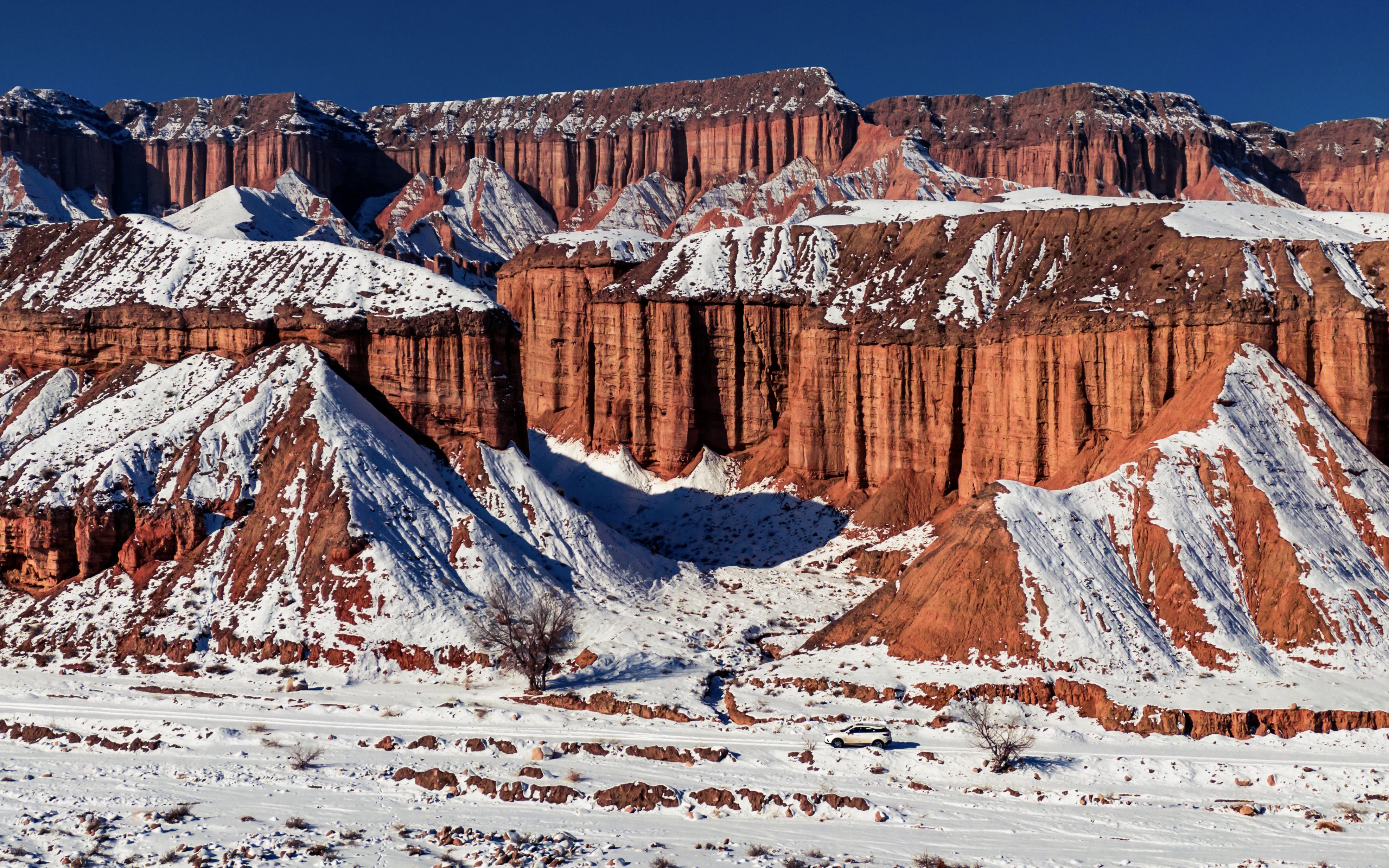 新疆和静县上游镇土林