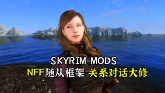 必装 四个超级实用的skse插件 每一个都直接的改变了你的游戏体验 Skyrim Mods 哔哩哔哩bilibili 上古卷轴5天际 杂谈