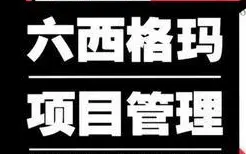持续改进的艺术：六西格玛在组织中的应用与标准化