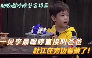 Video herunterladen: 一见李晨嗯哼直接叫爸爸，杜江在旁边看蒙了！细数嗯哼综艺名场面