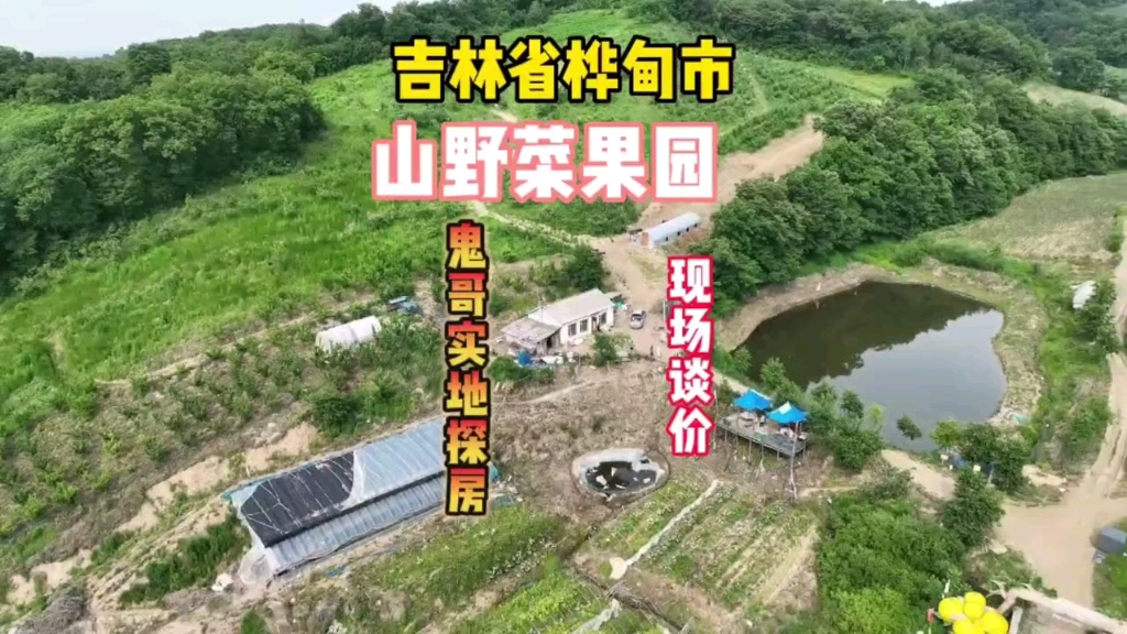 吉林省桦甸市山庄果园鱼池农家小院,找鬼哥帮忙处理实地探房谈价哔哩哔哩bilibili