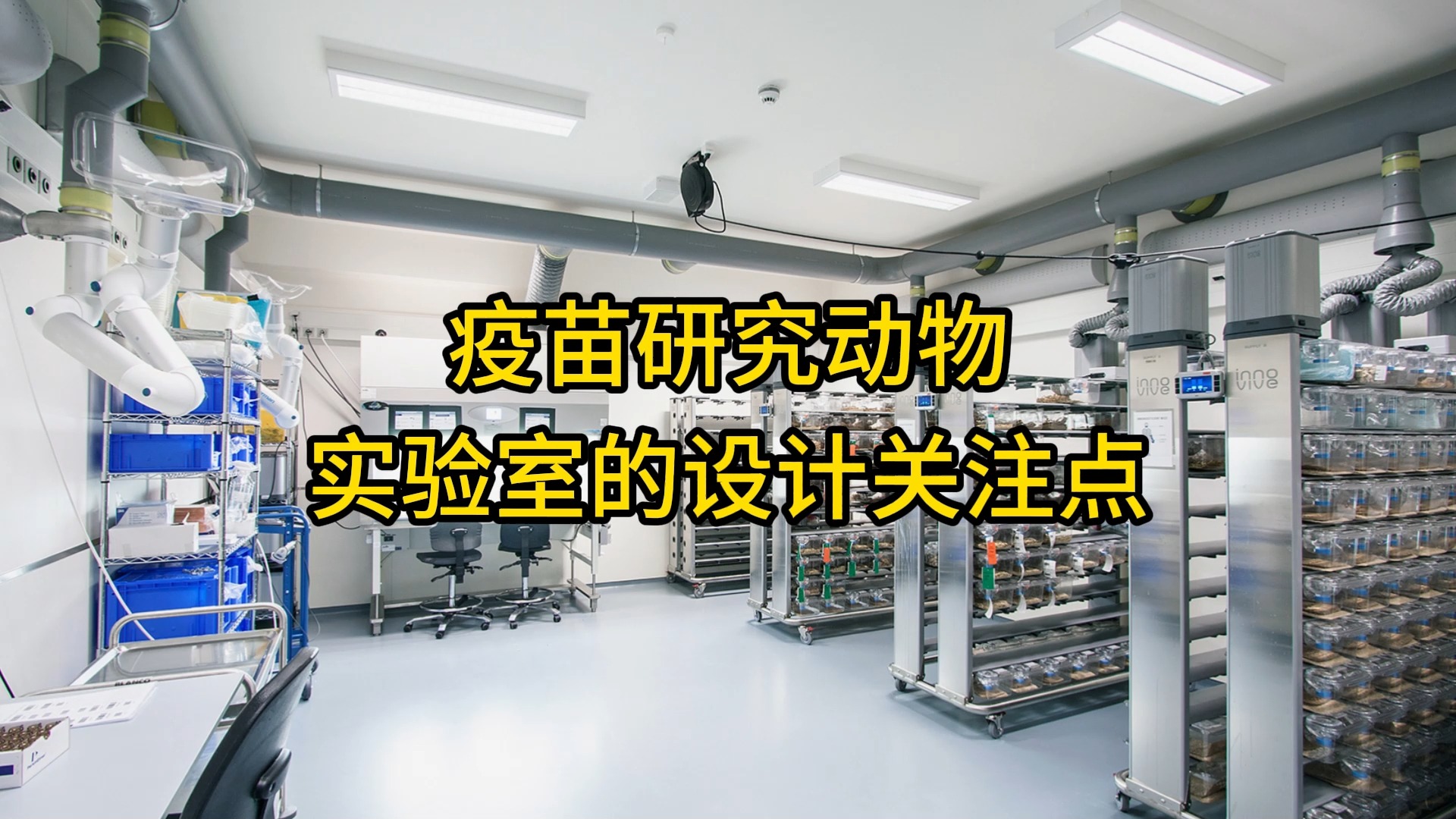 疫苗研究动物实验室的设计关注点 CEIDI西递哔哩哔哩bilibili