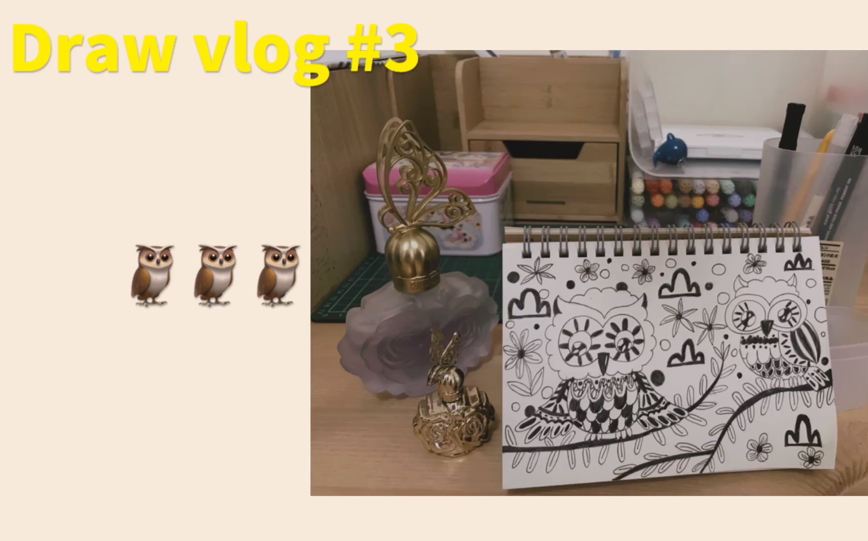 Draw vlog#3 /黑白插画/和两只猫头鹰一起哔哩哔哩bilibili