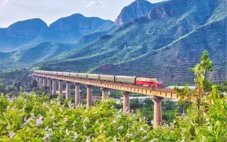 花海列车 搜索结果 哔哩哔哩 Bilibili