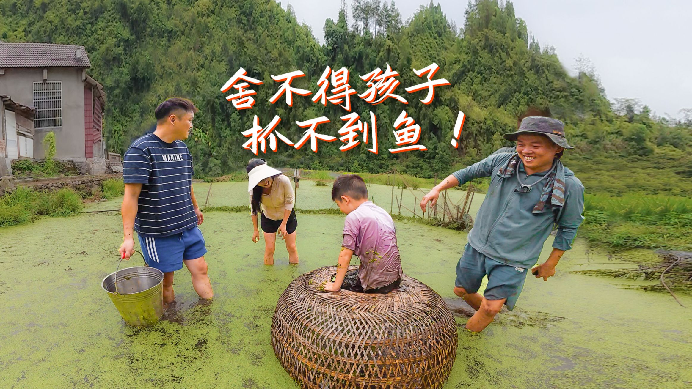自己家抓稻花鱼：满田飞奔，鸡笼罩鱼，抓鱼太欢乐了！