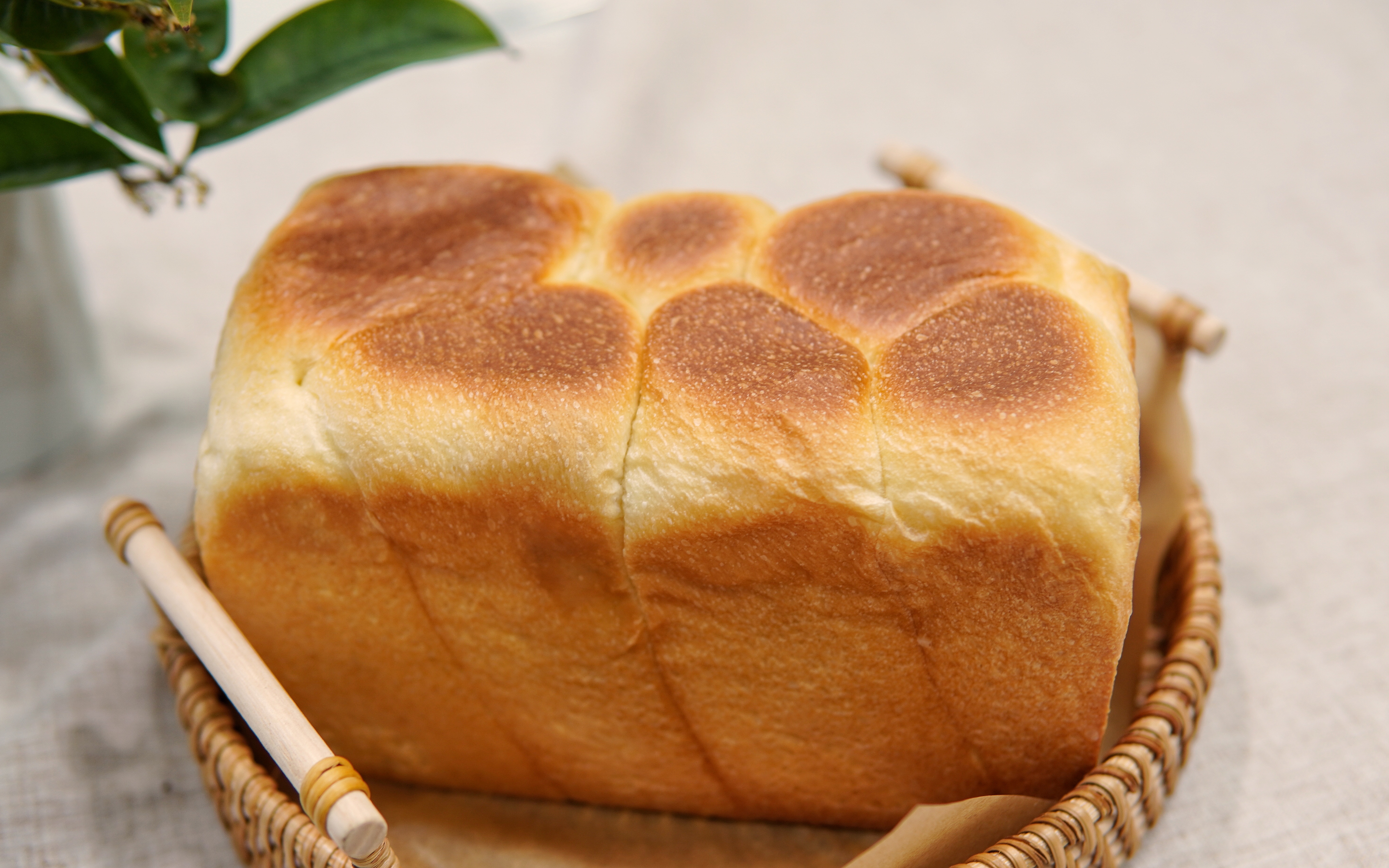 桂花奶酥吐司,秋季限定