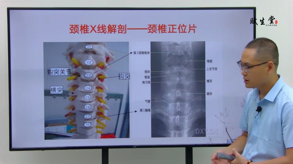 [图]12.中医正骨~颈椎解剖与正骨手法~三维正骨