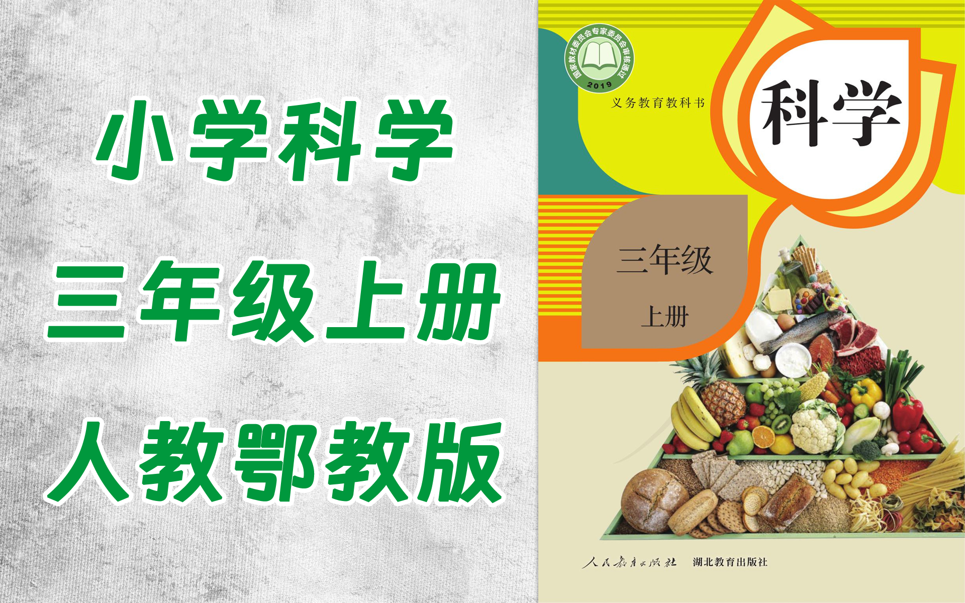 tt0026-080-小学三年级科学人教鄂教版上册-全32集