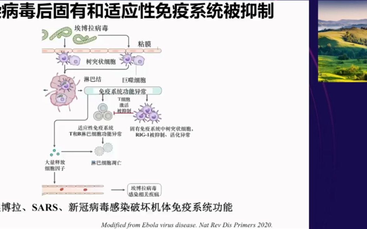 新冠病毒感染免疫学特点和干预郑州大学第一附属医院张毅教授哔哩哔哩bilibili